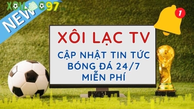 Hòa mình vào không gian bóng đá sôi động tại xoilac-tv.video